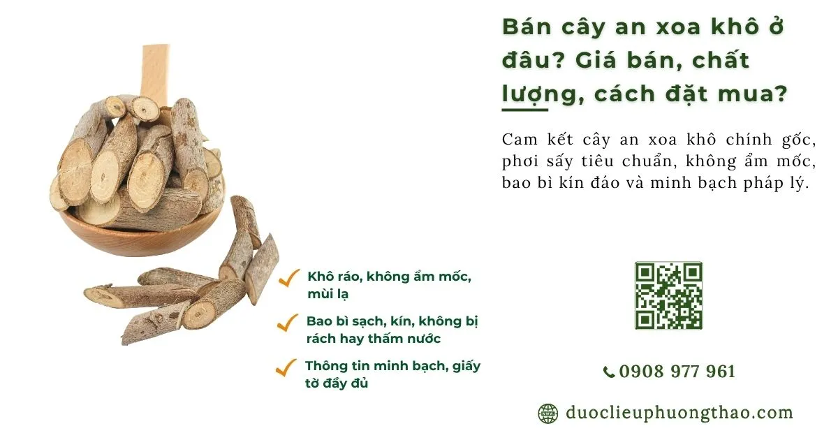 Bán cây an xoa khô ở đâu sạch, chính gốc và giá tốt nhất?