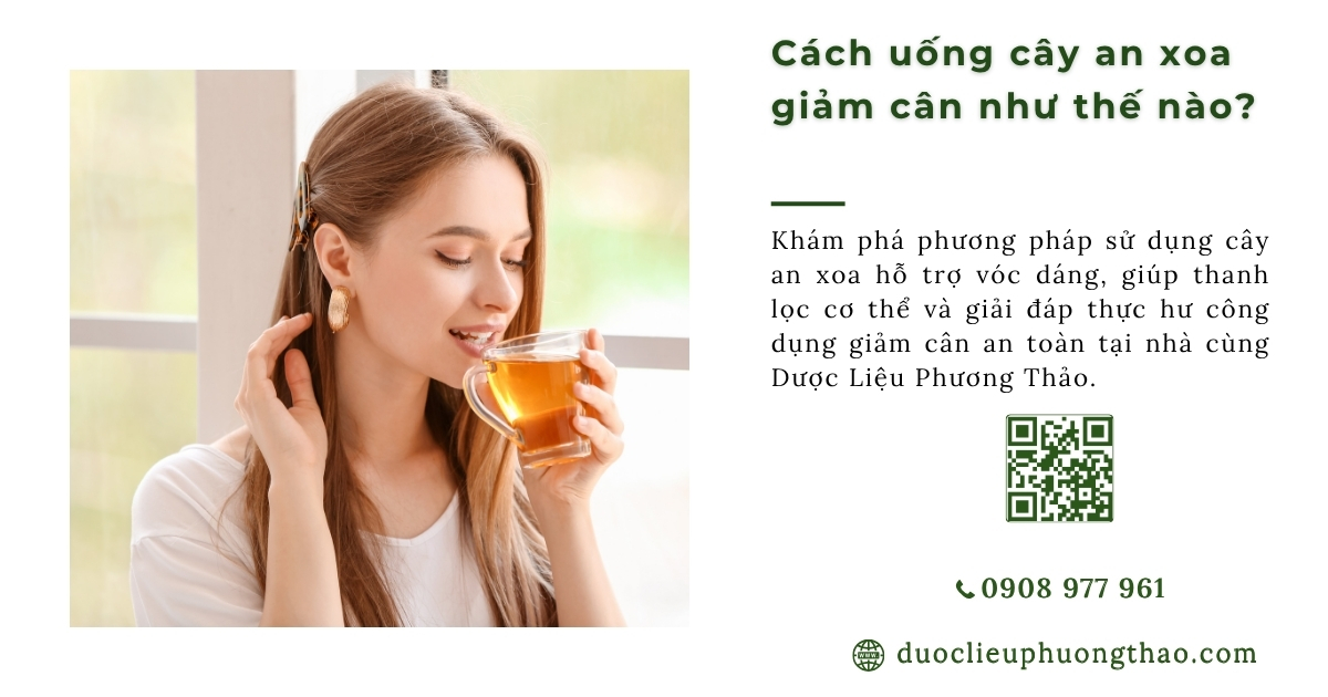 Sự thật về cách uống cây an xoa giảm cân? Có hiệu quả thần thánh như lời đồn?