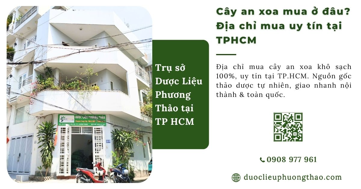 Cây an xoa mua ở đâu uy tín, chuẩn dược tính thảo dược tự nhiên?