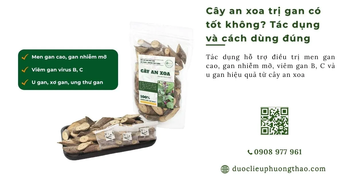 Cây an xoa trị gan có tốt không? Tác dụng và hướng dẫn cách dùng đúng