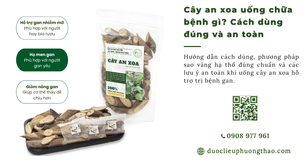 Cây an xoa uống chữa bệnh gì? Công dụng và cách dùng đúng