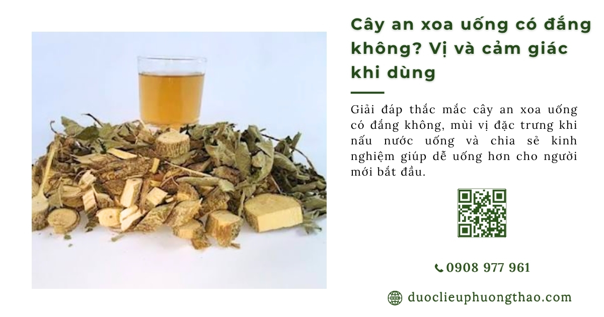 Cây an xoa uống có đắng không? Vị thực tế và 3 cách uống dễ hơn