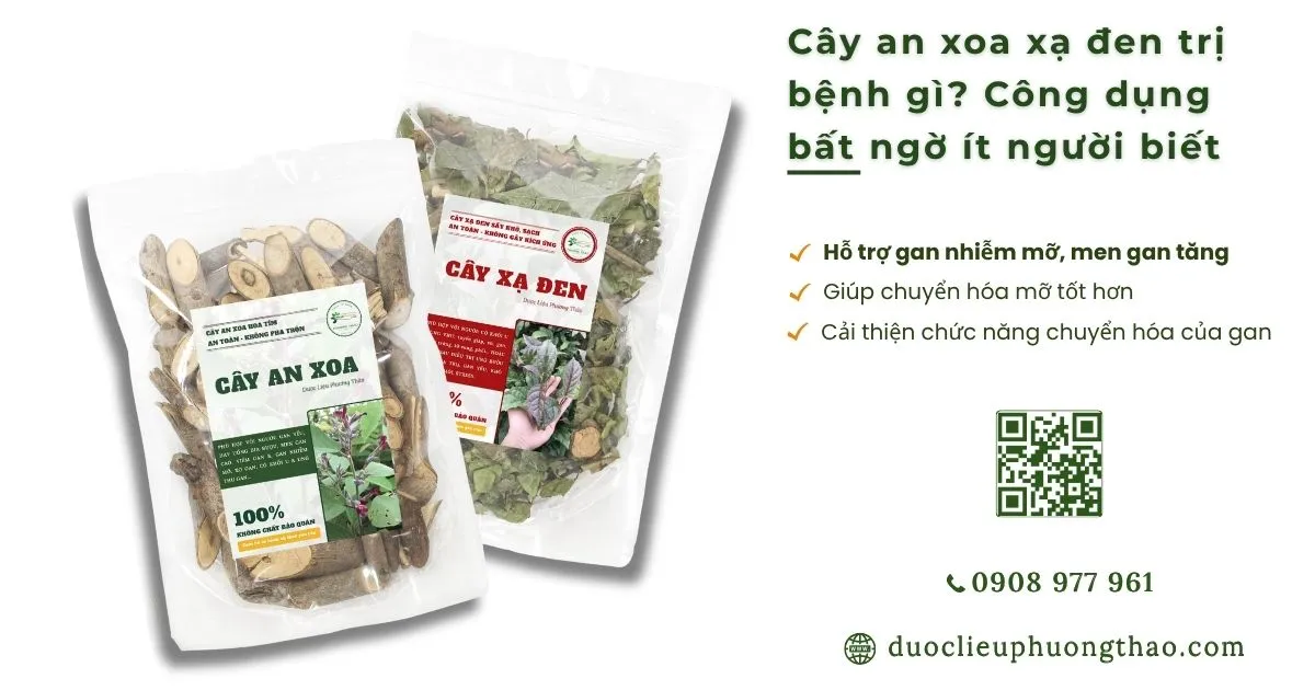 Cây an xoa xạ đen trị bệnh gì? 5 công dụng bất ngờ ít người biết