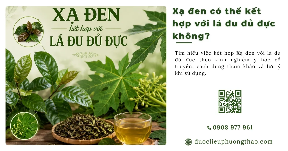 Xạ đen có thể nấu cùng lá đu đủ không?