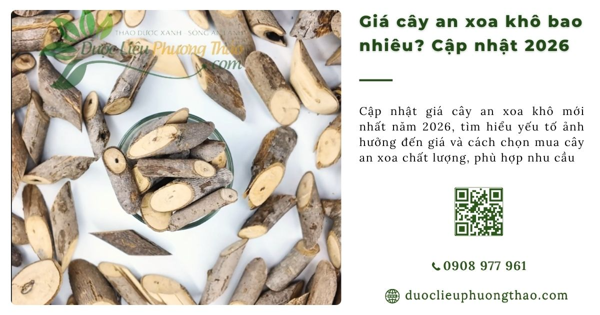 Giá cây an xoa khô bao nhiêu? Bảng giá chuẩn và nơi mua uy tín