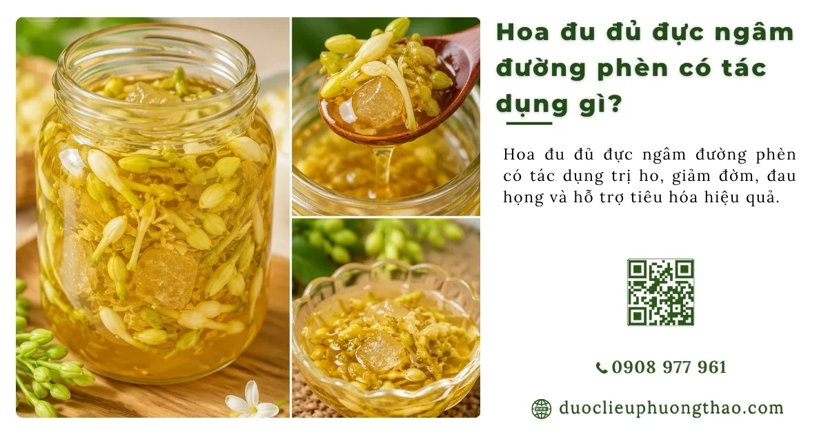 Hoa đu đủ đực ngâm đường phèn có tác dụng gì? Cách làm và lưu ý khi sử dụng