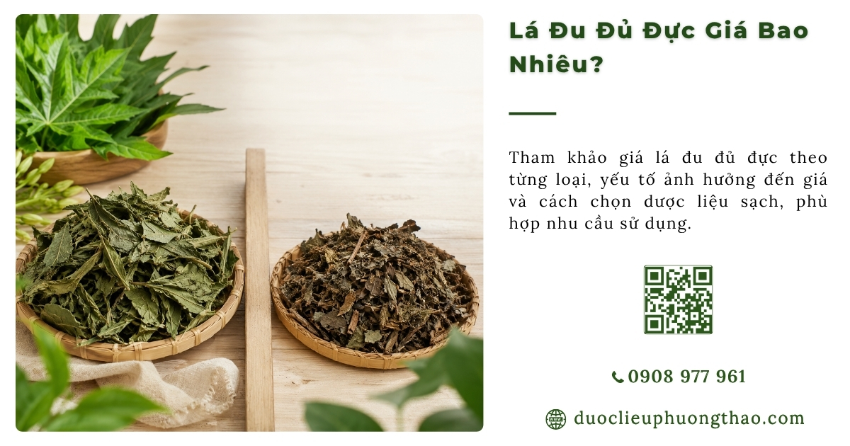 Lá đu đủ đực giá bao nhiêu? Cập nhật mức giá và cách chọn loại chất lượng