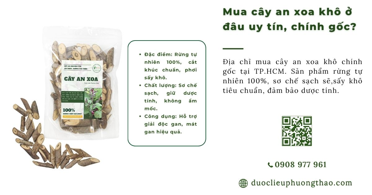 Mua cây an xoa khô ở đâu uy tín, chính gốc và được kiểm tra hàng?