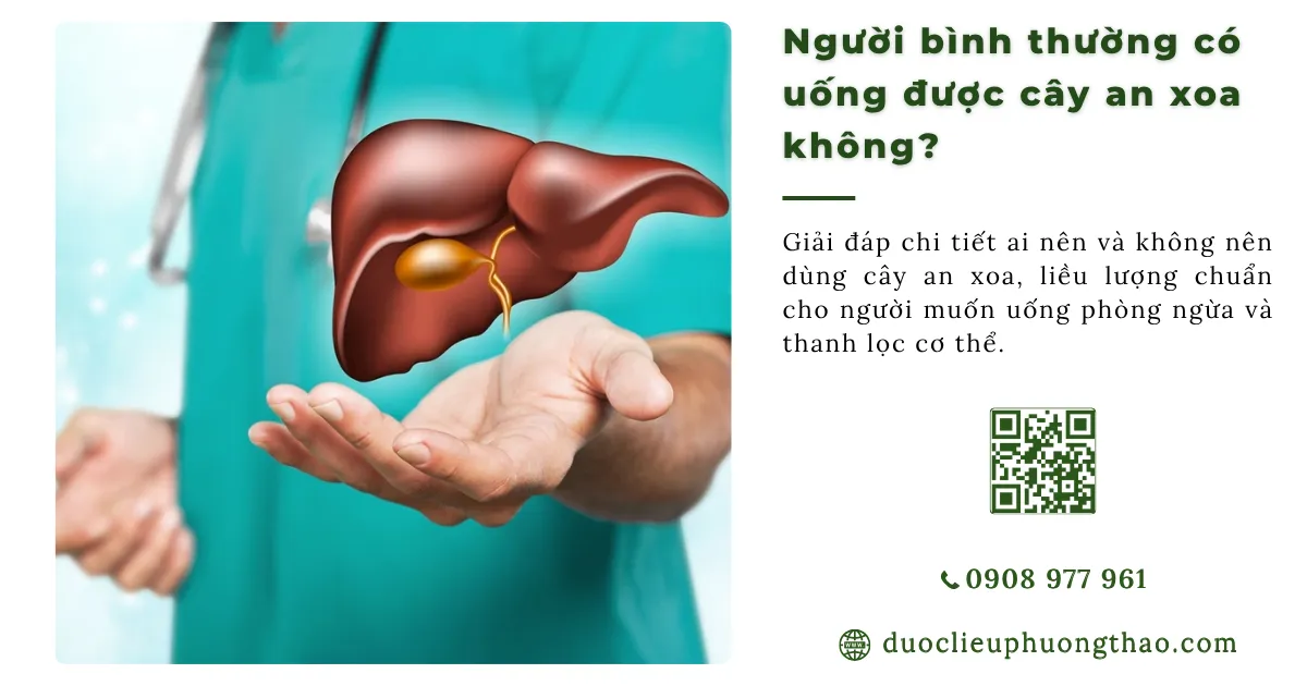 Người bình thường có uống được cây an xoa không? Cách dùng và lưu ý an toàn