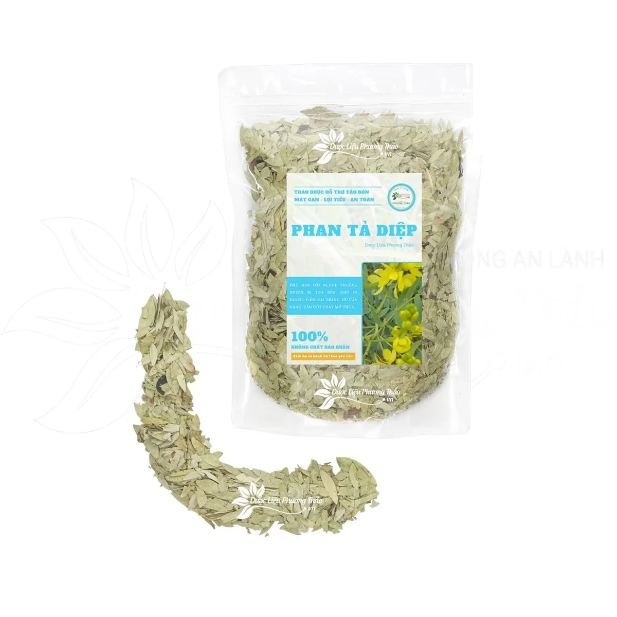 Phan tả diệp - dược liệu khô tuyển chọn