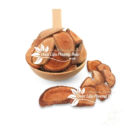 Cây cỏ máu sấy khô