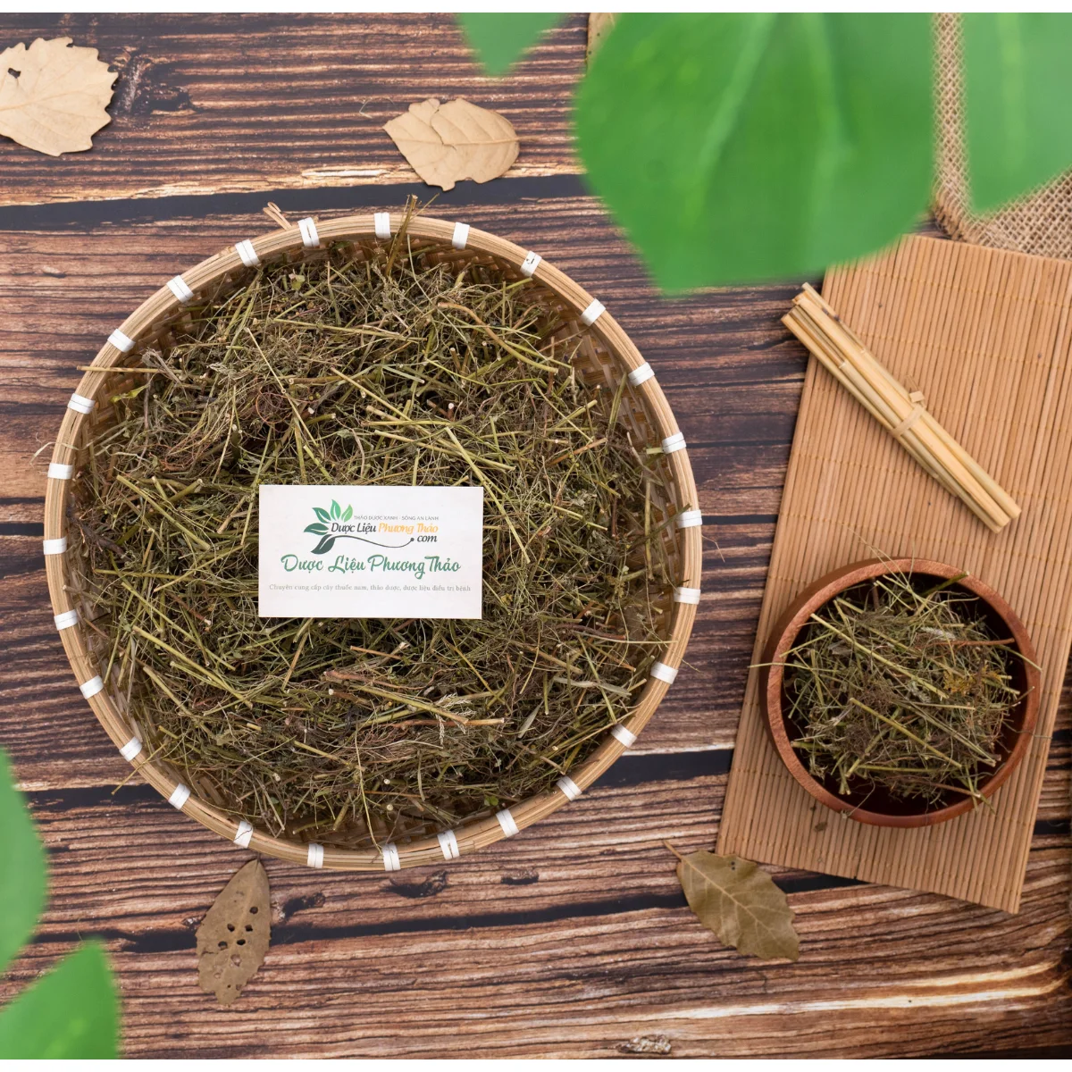 Diệp hạ châu (cây chó đẻ) – thân cành lá khô
