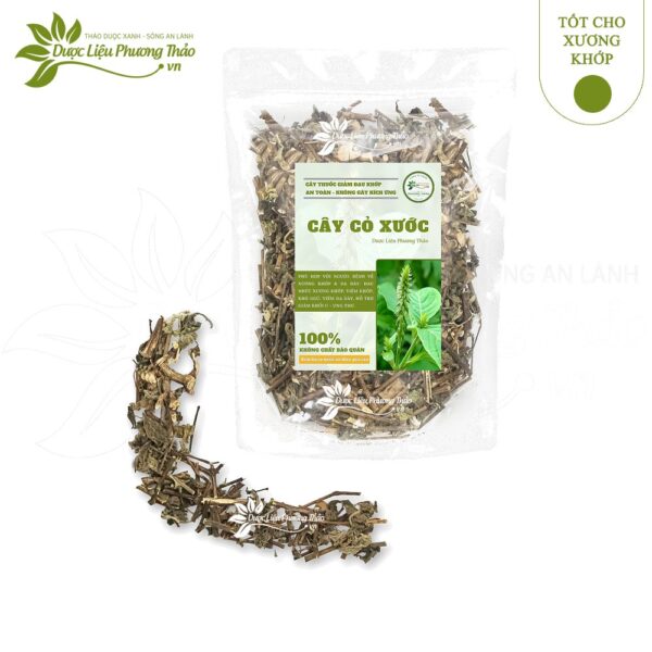 Cây cỏ xước