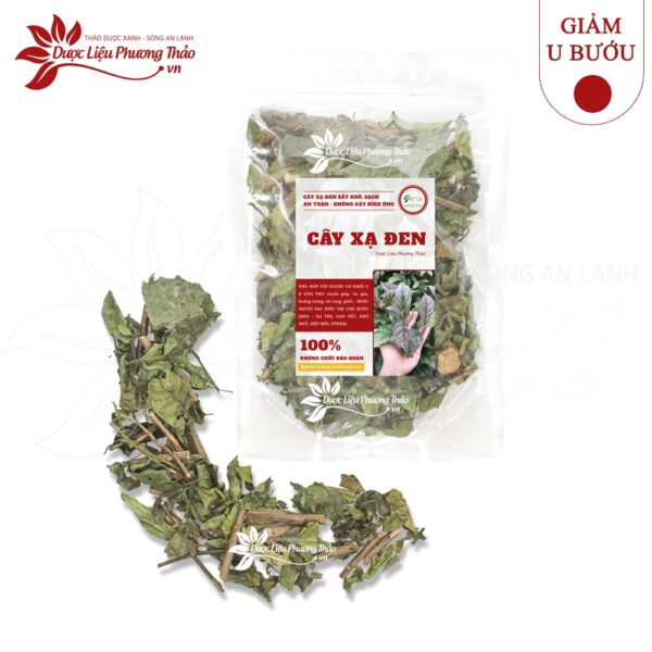 Cây Xạ Đen