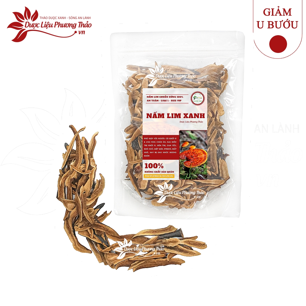 Nấm Lim Xanh