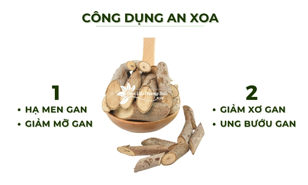 Cây An Xoa Khô Hỗ Trợ Gan, Men Gan Cao 5 công dụng cây an xoa