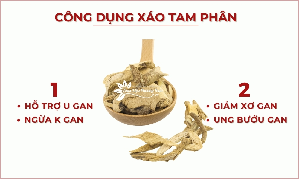 Xáo Tam Phân Hỗ Trợ U Bướu & Gan 5 công dụng xáo tam phân