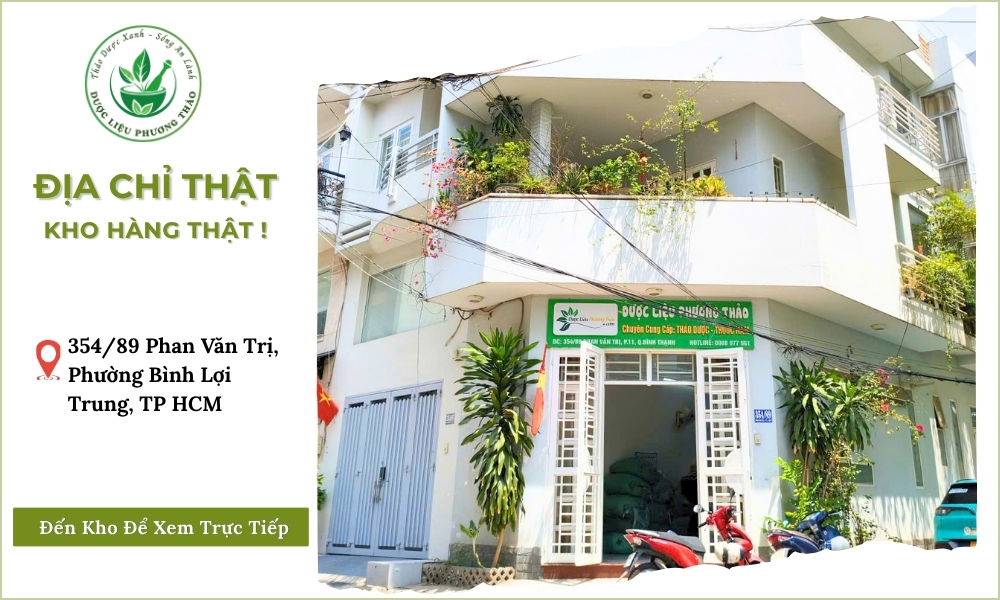 Cây Xương Khỉ Hỗ Trợ Đau Nhức Xương Khớp 9 địa chỉ cây xương khỉ