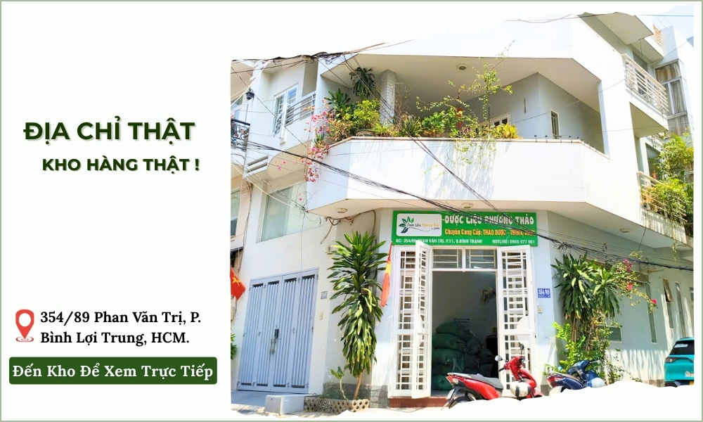 Cây An Xoa Khô Hỗ Trợ Gan, Men Gan Cao 9 địa chỉ công ty