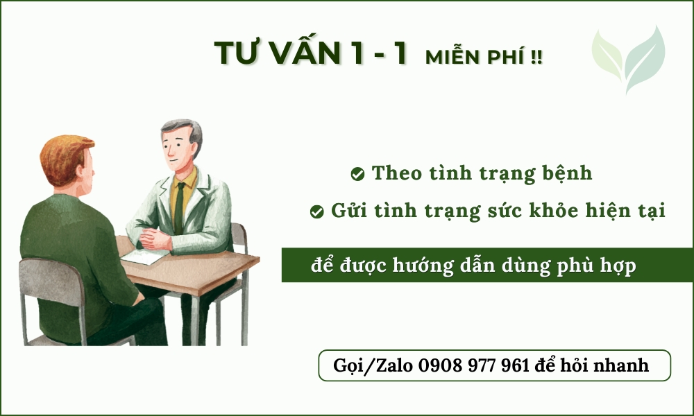 Cây An Xoa Khô Hỗ Trợ Gan, Men Gan Cao 4 tư vấn nhóm gan
