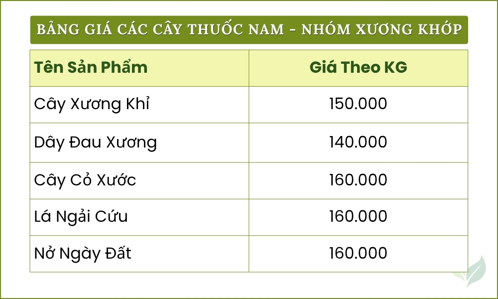 Cây Xương Khỉ Hỗ Trợ Đau Nhức Xương Khớp 7 bảng giá xương khớp