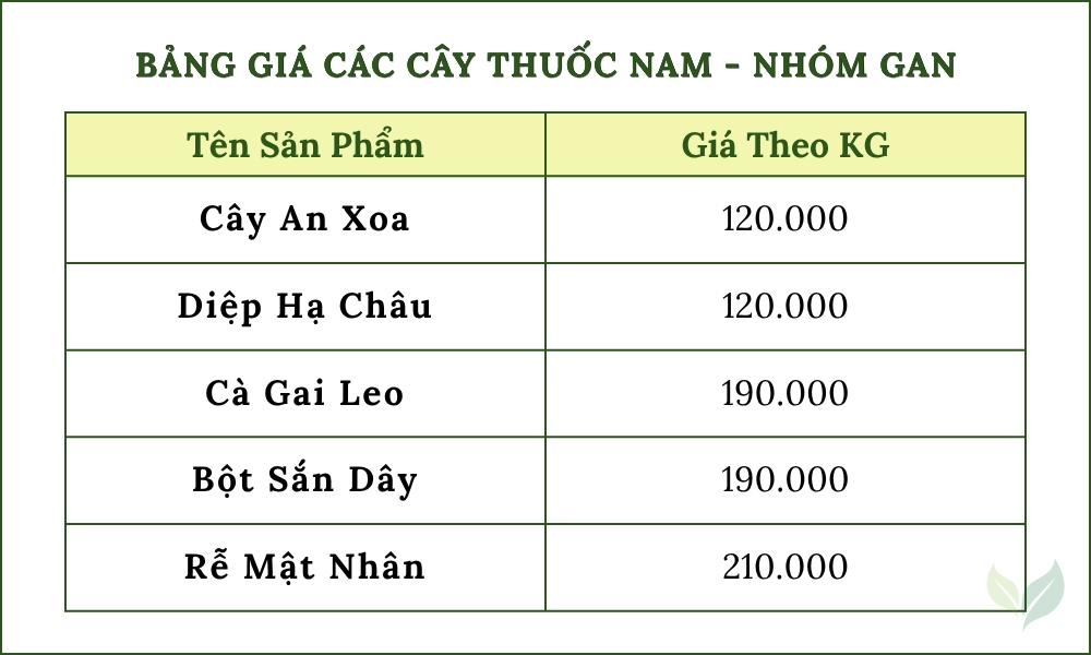 Cây An Xoa Khô Hỗ Trợ Gan, Men Gan Cao 7 bảng giá nhóm gan