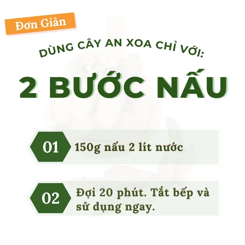 Cây An Xoa Khô Hỗ Trợ Gan, Men Gan Cao 2 Cây An Xoa Khô Hỗ Trợ Gan, Men Gan Cao