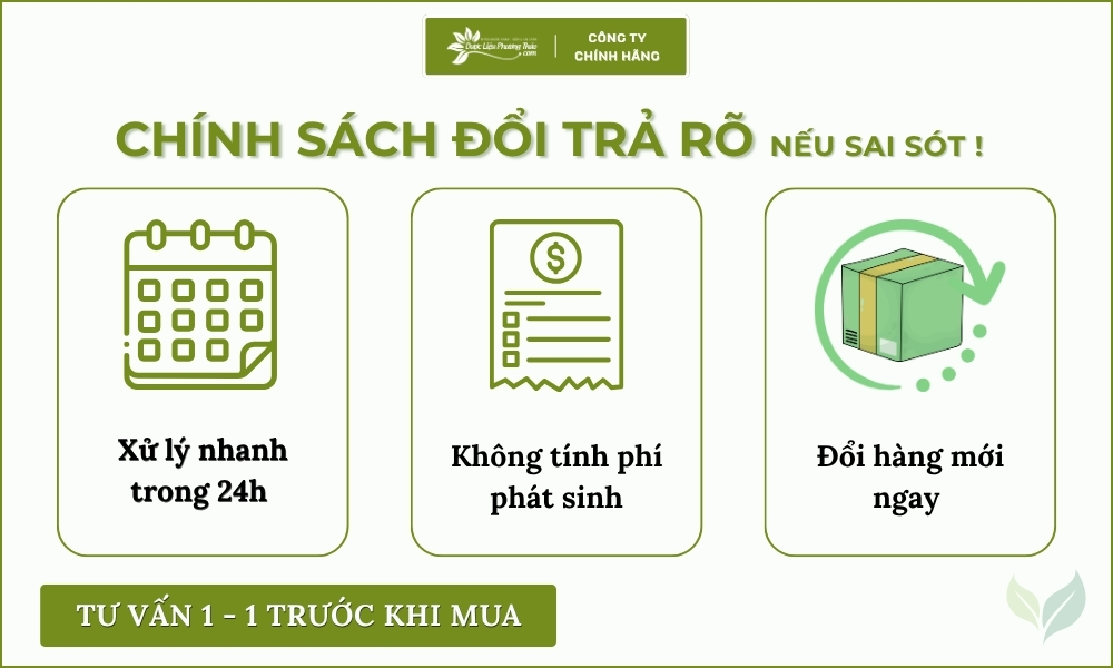 Cây Xương Khỉ Hỗ Trợ Đau Nhức Xương Khớp 11 chính sách cây xương khỉ