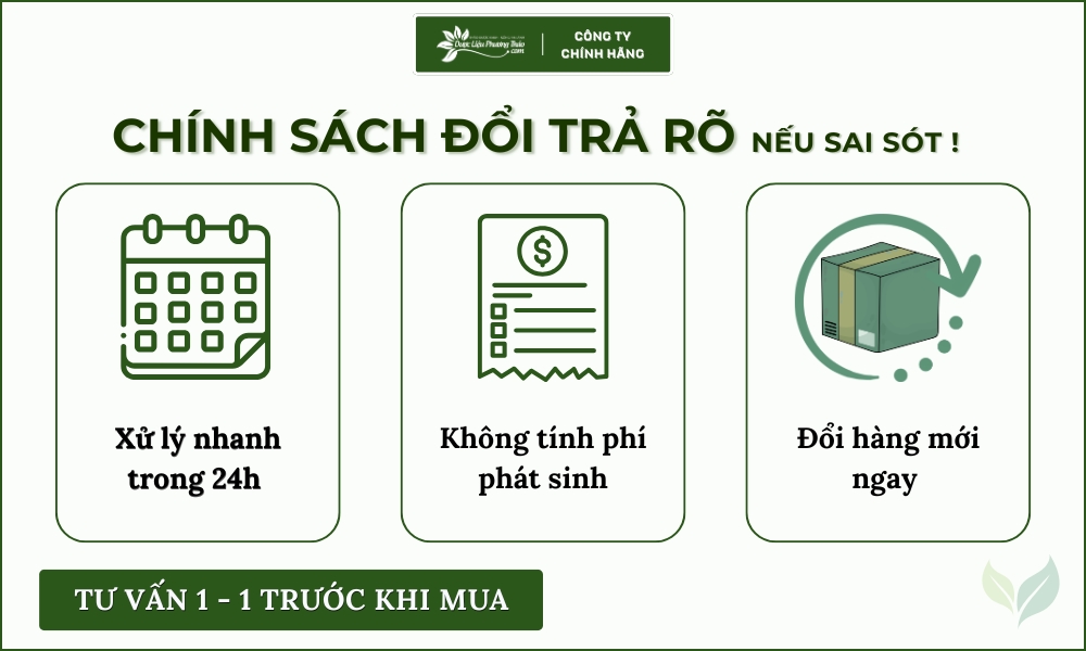 Cây An Xoa Khô Hỗ Trợ Gan, Men Gan Cao 11 chính sách đổi trả