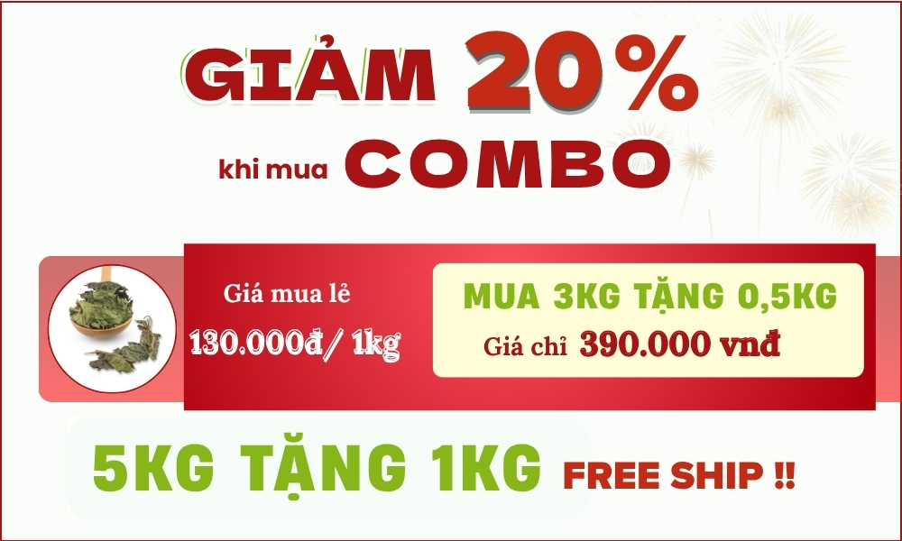 Cây Xạ Đen Hỗ Trợ U Bướu, Tăng Đề Kháng 10 combo xạ đen