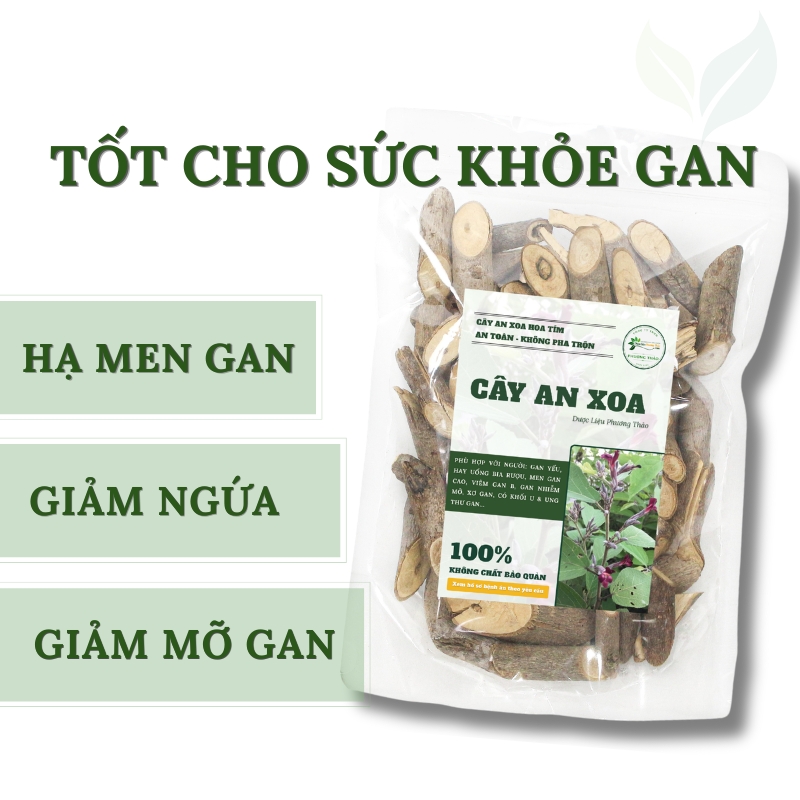 Cây An Xoa Khô Hỗ Trợ Gan, Men Gan Cao 3 Cây An Xoa Khô Hỗ Trợ Gan, Men Gan Cao