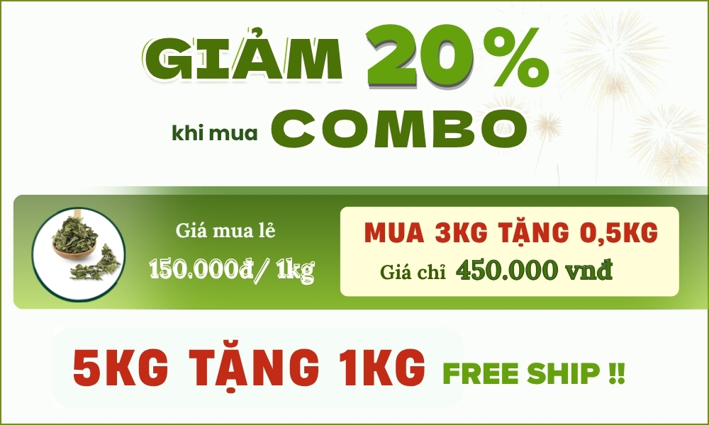 Cây Xương Khỉ Hỗ Trợ Đau Nhức Xương Khớp 10 combo cây xương khỉ