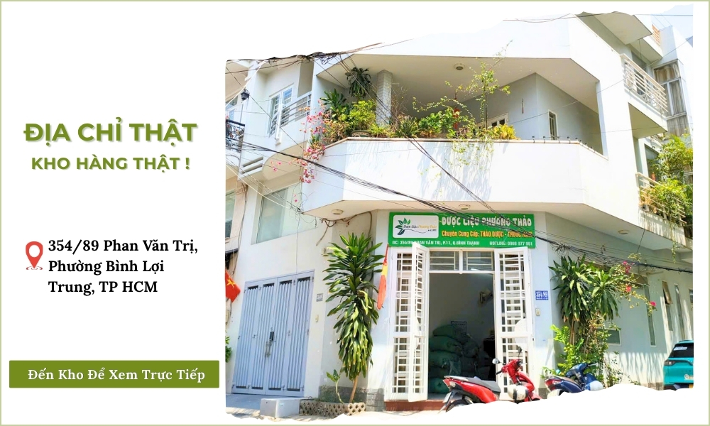Cây Xương Khỉ – Hỗ Trợ Chăm Sóc Xương Khớp, Tư Vấn 1:1 6 dia chi cty xuong khop