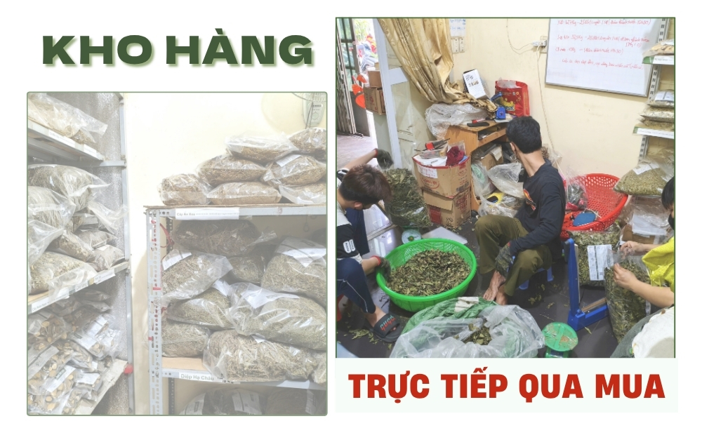 Rễ Xáo Tam Phân Khô – Hàng Rừng Ninh Hòa, Khánh Hòa 7 kho hang nhom gan