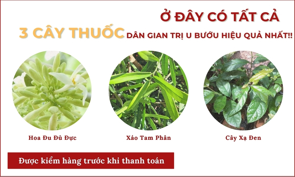 Xáo Tam Phân Hỗ Trợ U Bướu & Gan 6 nhóm u bướu